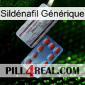 Sildénafil Générique 36